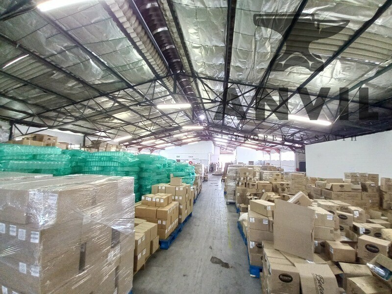 22 Suffert Street - Entire Unit property image 2