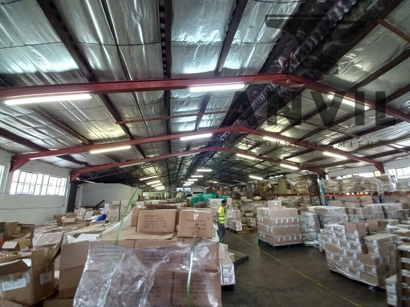 22 Suffert Street - Entire Unit property image 5