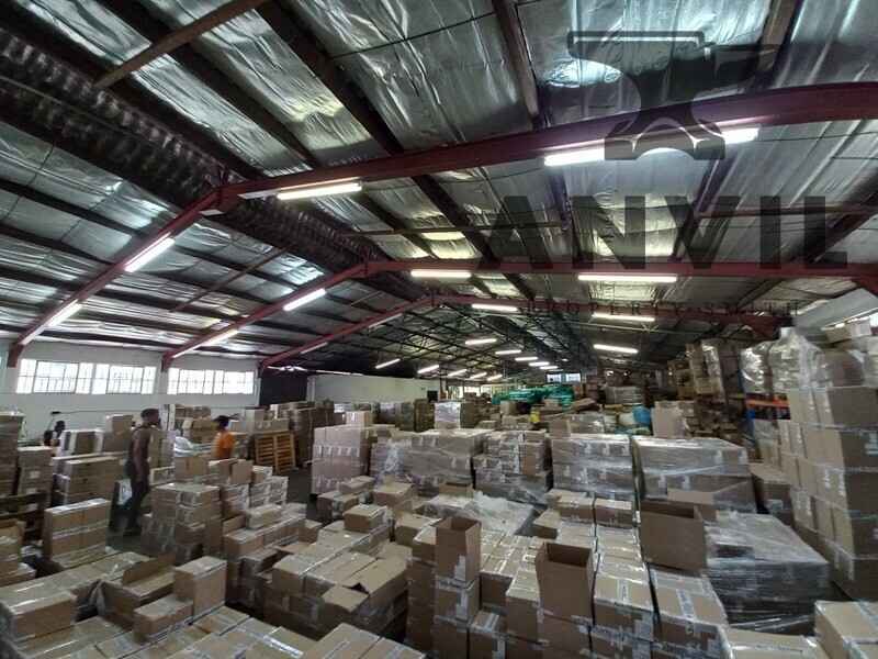 22 Suffert Street - Entire Unit property image 3