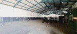 9 Killarney Avenue - Entire Warehouse property image 2