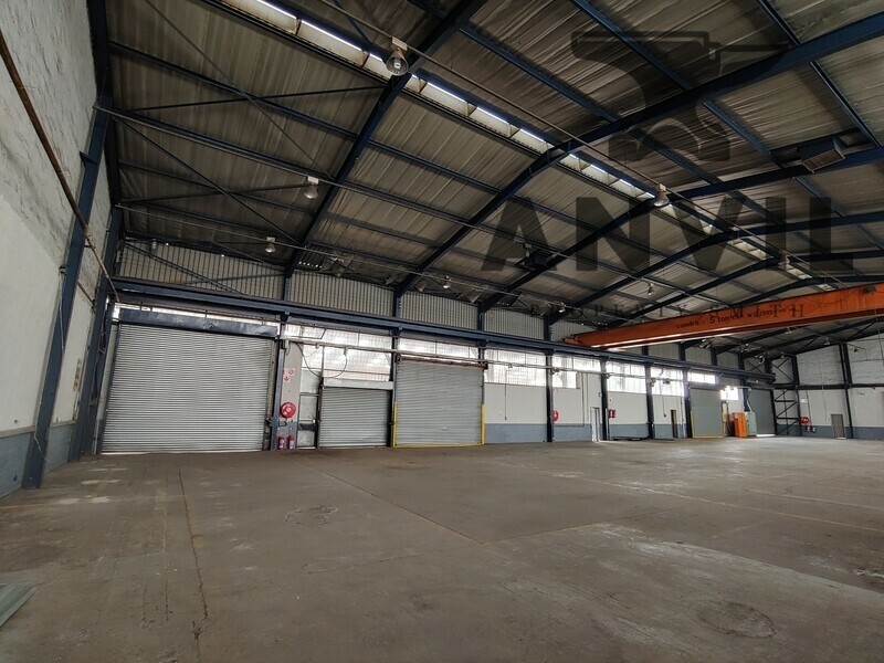 57 Forge Road - Entire Property property image 3