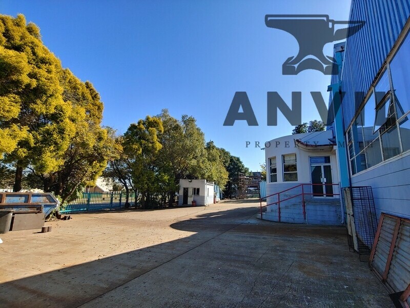 14 Tungsten Street - Entire Property property image 19