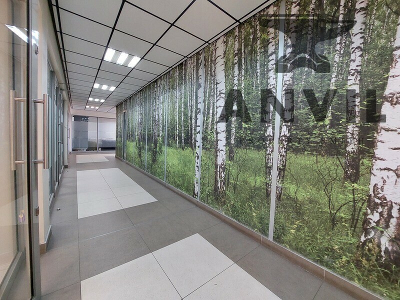 Northlands Corner Retail Centre & Office Park, Randburg - Med 5 property image 2