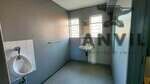 Trevallyn Industrial Park - Unit 53 property image 11