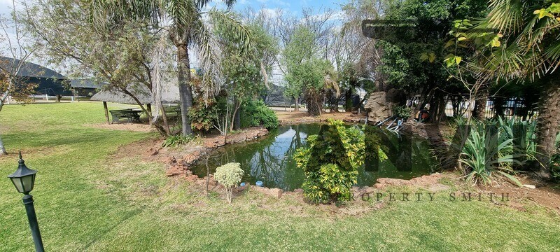 1 Horn Street - Standalone - Sale Option  property image 21