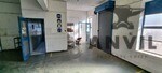 52 Kraft Road  - Standalone - Sale Option  property image 13