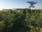 37-39 Falcon Crescent - Airport City Vacant Industrial Land  - Industrial Zone Land - Airport City  property image 2