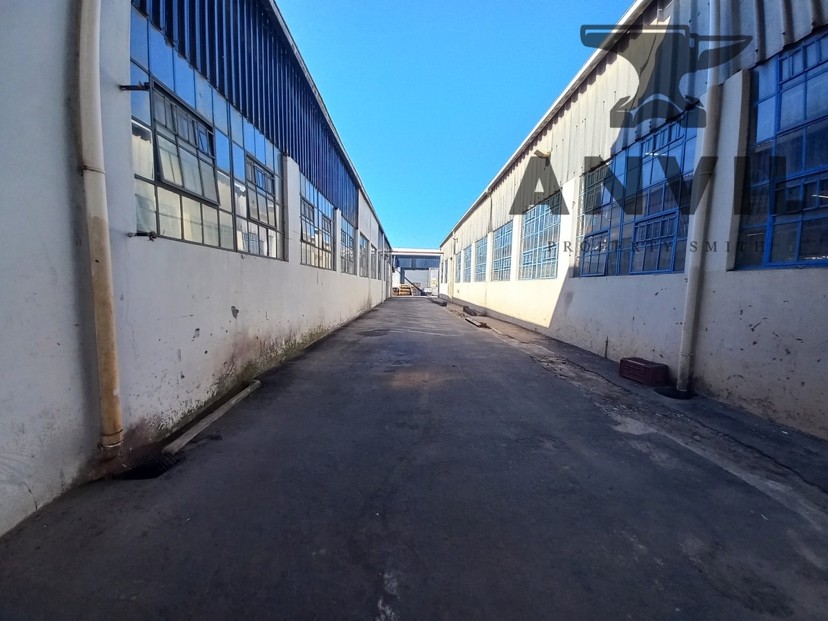 269 Chamberlain Road Jacobs Anvil Property Smith