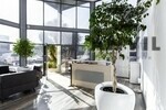 258 Roan Crescent, Corporate Park North, Midrand - Entire Building property image 5