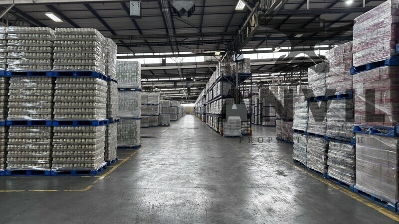 158 Lily van Niekerk  - Warehouse 1  property image 16