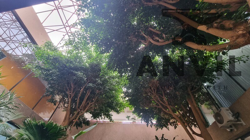 280 Oak Avenue, Randburg  - Ground Floor property image 10