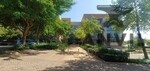 Golden Oak House, Ballyoaks Office Park - FF property image 6