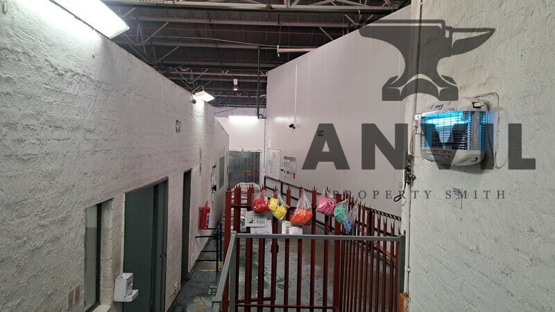 69 Rigger Rd, Spartan Beyers Building  - Beyer Choc Plant property image 11