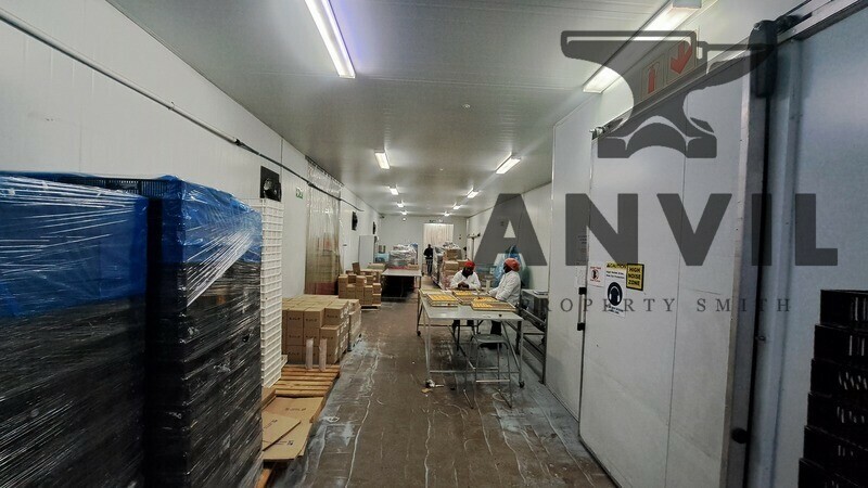 69 Rigger Rd, Spartan Beyers Building  - 69 Rigger  property image 7