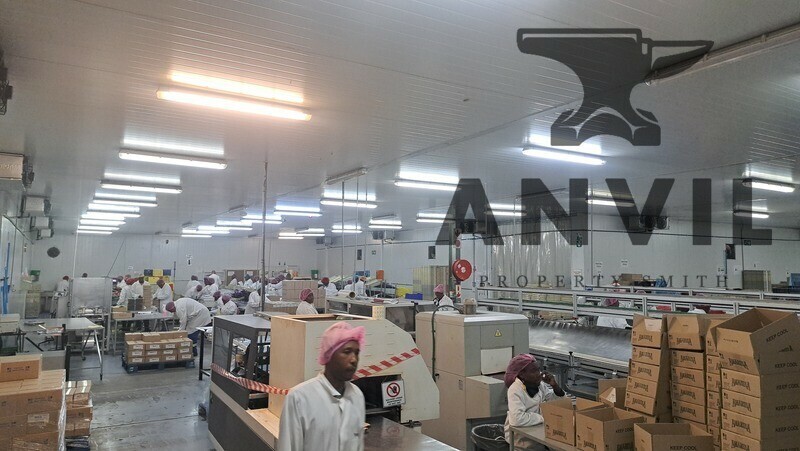 69 Rigger Rd, Spartan Beyers Building  - 69 Rigger  property image 6