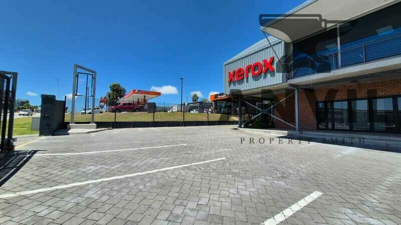 244 Circular Dr - Ground Floor Unit 1 property image 18