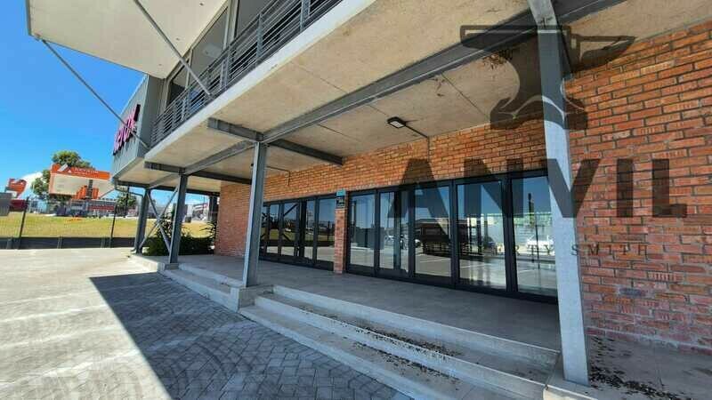 244 Circular Dr - Ground Floor Unit 1 property image 21