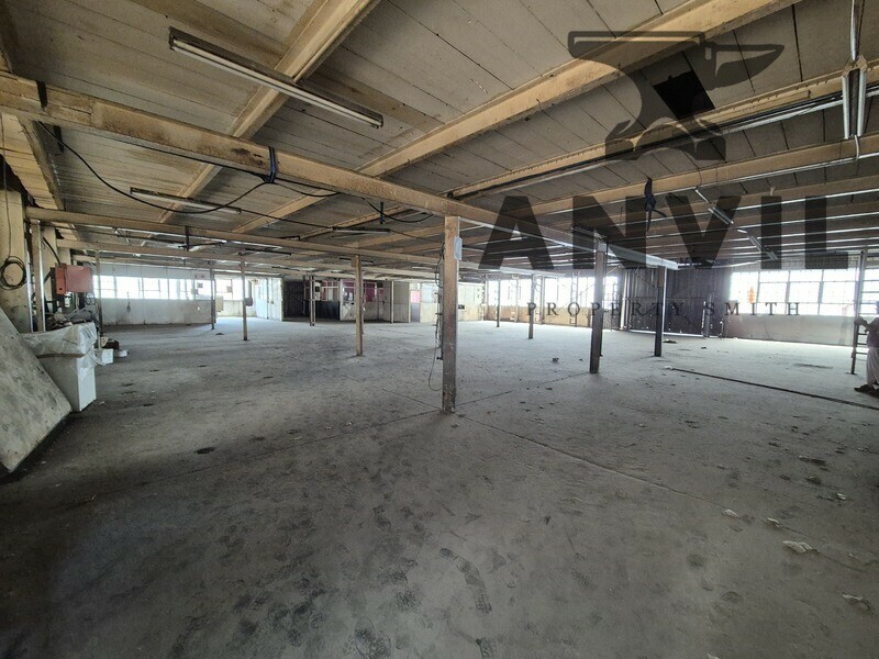 8 Jurie Street, Alrode - 8 Jurie street for sale property image 19