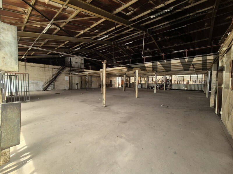 8 Jurie Street, Alrode - 8 Jurie street for sale property image 28