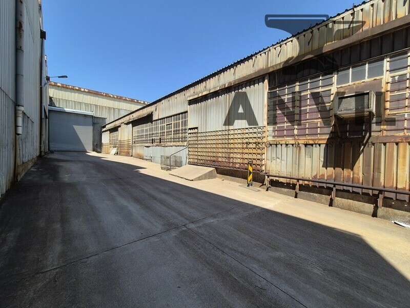 8 Jurie Street, Alrode - 8 Jurie street for sale property image 30