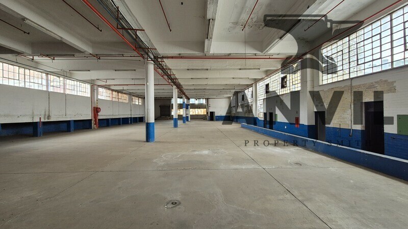 Ben 25 Raebor Road  - Ben 25 | 63 Raebor Rd property image 8