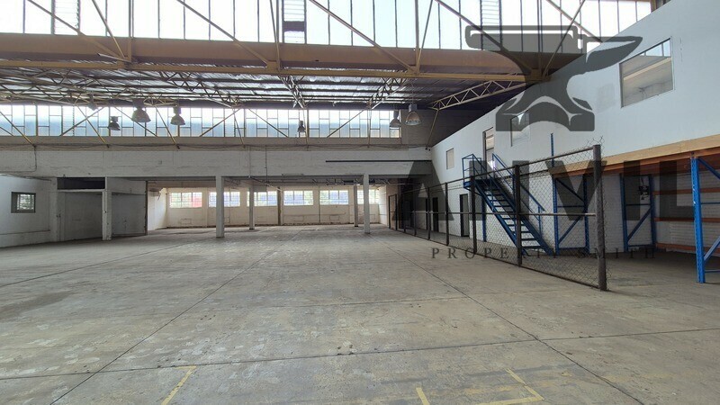 Ben 39 - 01 Daniel Rd - 01 Daniel Rd, Benrose property image 3