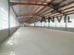 11 5th street - Entire Building property image 2