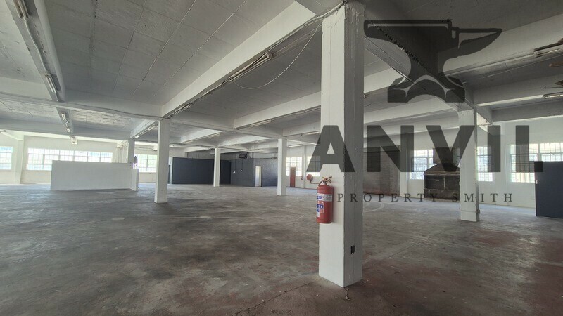 12a Blair road - Lower Unit property image 8