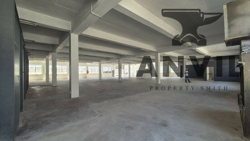 12a Blair road - Lower Unit property image 14