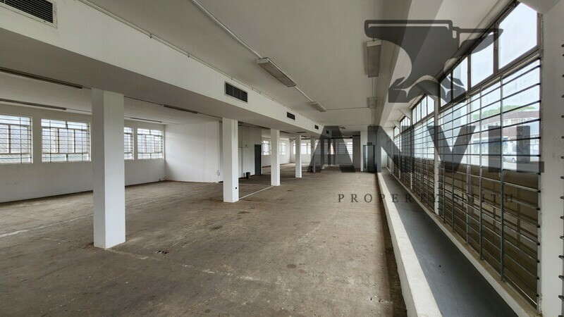 338 Gale Street - 338 Gale Street property image 4 338 Gale Street - 338 Gale Street property image 4