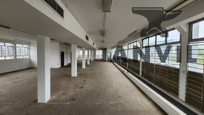 338 Gale Street - 338 Gale Street property image 7 338 Gale Street - 338 Gale Street property image 7