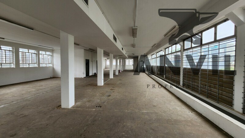 338 Gale Street - 338 Gale Street property image 11 338 Gale Street - 338 Gale Street property image 11