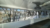 33 Fricker Road, Illovo  - 2nd FL property image 46
