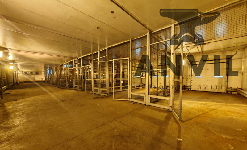 19 Fortune Street - Entire Property To Let  property image 8