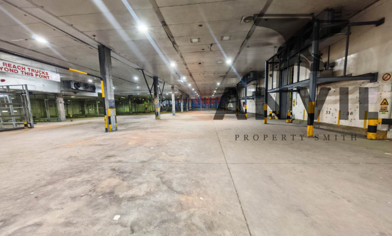 19 Fortune Street - Entire Property To Let  property image 9