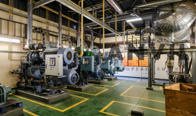 19 Fortune Street - Entire Property To Let  property image 10