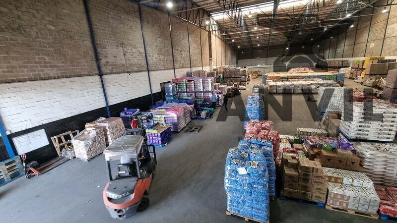 17 Agric St, W P Park, Cape Town, 7501, South Africa - Unit 4 property image 5