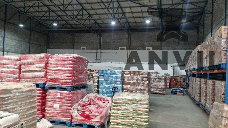 17 Agric St, W P Park, Cape Town, 7501, South Africa - Unit 4 property image 9