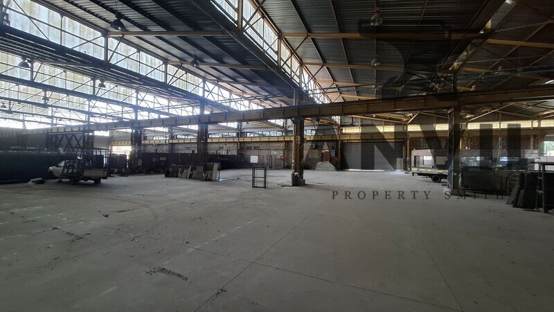 148 Shaft street - Entire Property to let  property image 30