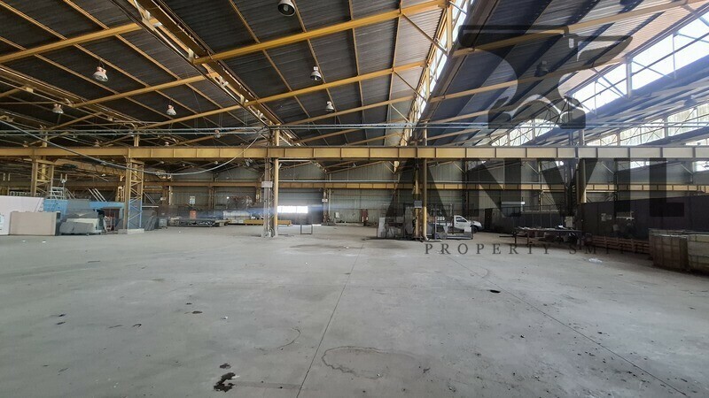 148 Shaft street - Entire Property to let  property image 32