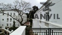 Alphen Office Park, Cape Town - PSG House, Alphen Office Park - First Floor 1/2 property image 6