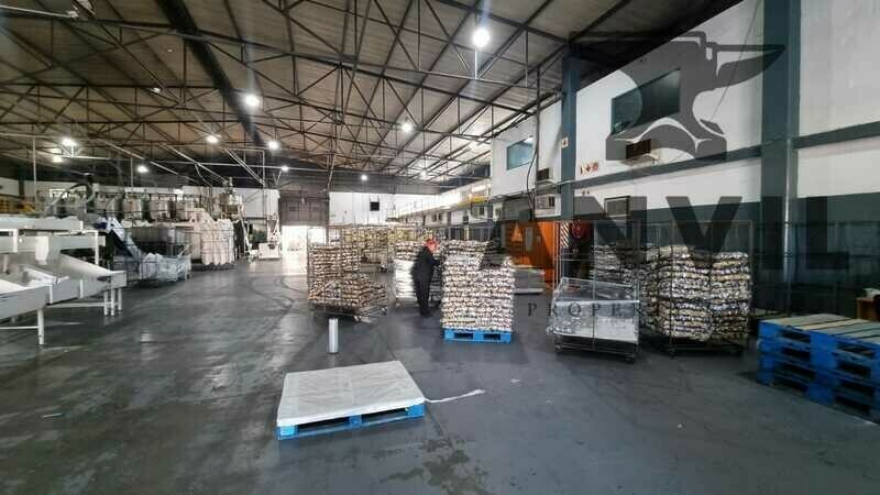 6 Techno Crescent, W P Park, Cape Town, 7460, South Africa - Stand Alone Unit property image 6