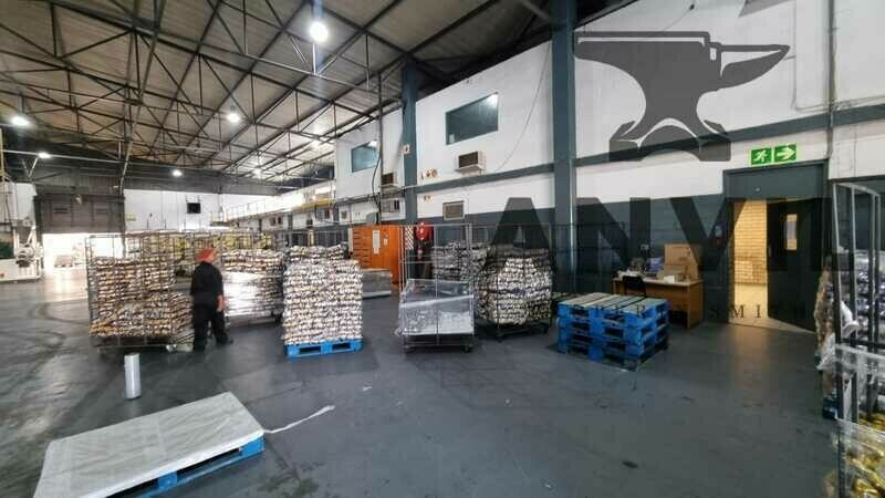 6 Techno Crescent, W P Park, Cape Town, 7460, South Africa - Stand Alone Unit property image 7