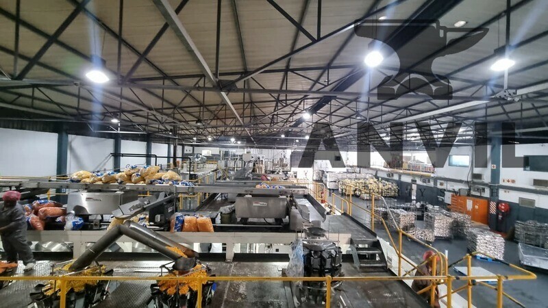 6 Techno Crescent, W P Park, Cape Town, 7460, South Africa - Stand Alone Unit property image 8