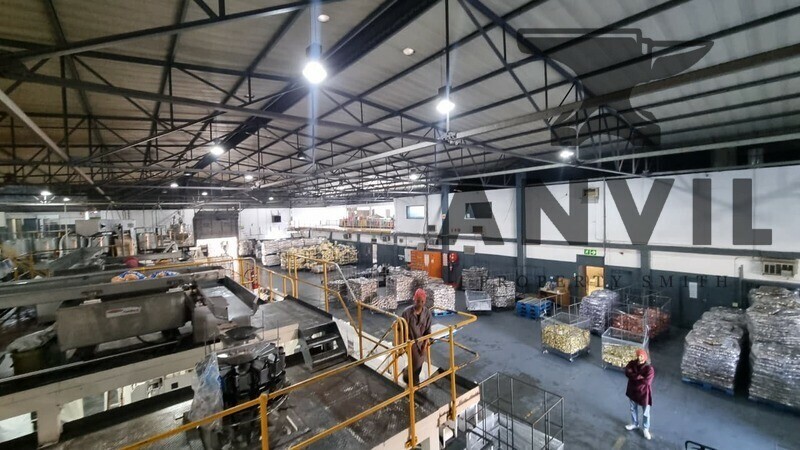 6 Techno Crescent, W P Park, Cape Town, 7460, South Africa - Stand Alone Unit property image 4