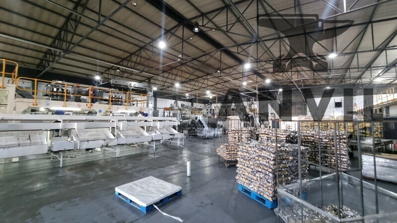 6 Techno Crescent, W P Park, Cape Town, 7460, South Africa - Stand Alone Unit property image 15