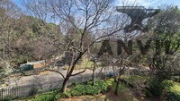 Sunnyside Office Park, Parktown - Building A, Second Floor property image 32