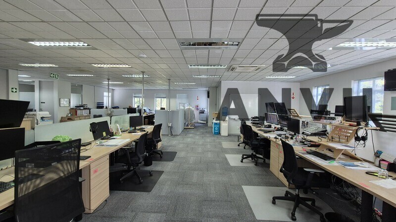 Alphen Office Park, Cape Town - PSG House, Alphen Office Park - First Floor 1/2 property image 5