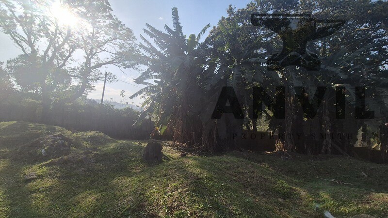 Shongweni Kennels 2 Cliffdale Road, Summerveld Assagay Hillcrest - Business Park Zoned Land For Sale property image 4