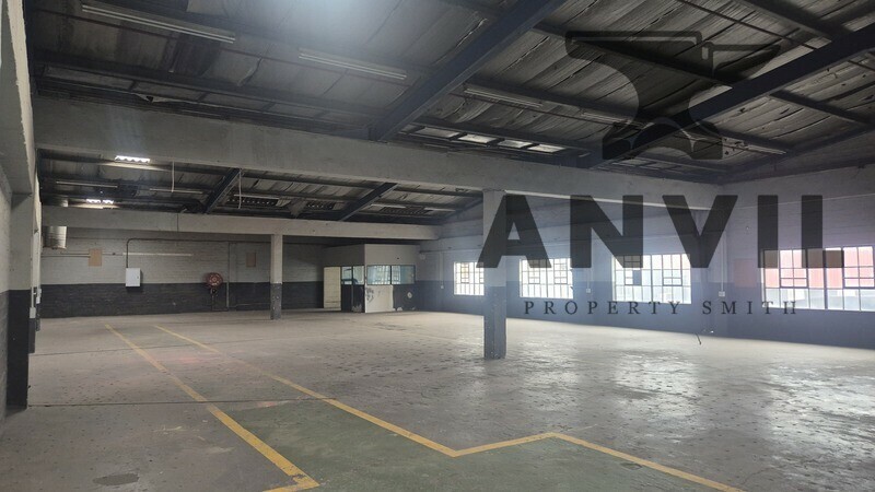 24 Edwin Swales Drive - Ramp Unit property image 7